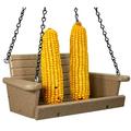 JCs Wildlife Poly Lumber Squirrel Swing Corn Cob Feeder - Squirrel Feeder Squirrel Corn Feeder Chair - Cute Swing Feeder for Squirrels - Fill with Corn and Hang (Tan)