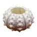 2 PCS Naturales Air Plants Urchin Shell Artificial Pineapple Flower Pot M