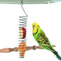 Bird Food Holder Parrots Foraging Toys for Birdcage Hanging Stainless Steel Bird Treat Feeders Bird Food Basket for Fruit Vegetable Grain Wheatï¼ŒChew Toys$1 Piece Bird Food Holder Stainless Steel