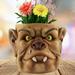 Fimeskey Flower Pots Face Planter Pots Head Planter With Hole Man Face Flower Pot Head Planter Succulent Planters For Indoor Home & Garden