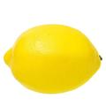 Fake Lemons Lemon Decor for Kitchen Faux Fake Fruit Lemons Organic Decoration Faux Lemons for Decoration Craft Supplies