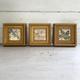 3 Vintage Distressed Wooden Frames with Pressed Flower Collages, Gilt Picture Frames, Wall Decor