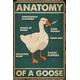 Anatomy of A Goose 200 Piece Wooden Jigsaw Puzzles for Adults Family Elderly Puzzle Game for Family Art Decorations Funny 200 Piece Puzzle Toy Gift for Friend Wife Mom