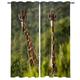 buyluhn Giraffe Blackout Curtains for Bedroom Living Room Green Eyelet Curtains 52 Width X 63 Inch Drop Patterned Thermal Window Treatments Soundproof Kitchen Curtains