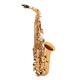 Jupiter JAS500 Alto Saxophone Outfit with Styled Gig Bag Case