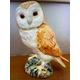 Vintage Beswick Pottery Tawny Barn Owl - with a glossy finish