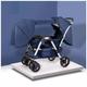 Double Baby Pram Stroller for Infant and Toddler, Twins Baby Stroller for Newborn Can Sit Lie Detachable Baby Carriage Pushchair Trolley Portable Strollers with Mosquito Net (Color : Blue B)