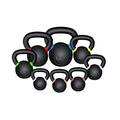 We R Sports® Premium Kettlebells 4kg To 48kg Home Gym Fitness Exercise Kettlebell Training (20 Kilograms)
