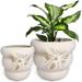 Terracotta Pots 8/6/4 Inch with Drainage Holes, Bee Decor, Ceramic Pots for Indoor Plants Flower Pots Outdoor