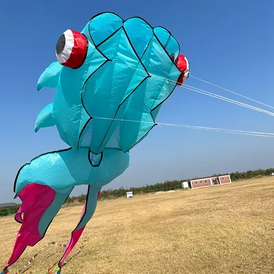 3D 10M 3-Color Goldfish Soft Kite Large Soft Animal Professional Kites Outdoor Inflatable Beach Kite