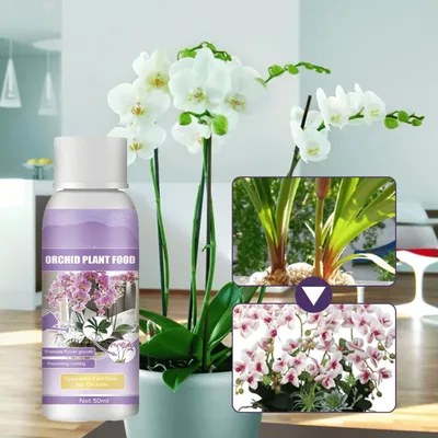 Plant Nutrition Liquid Flower Fertilizer Orchid Special Compound Growth Hydroponic Garden Plant