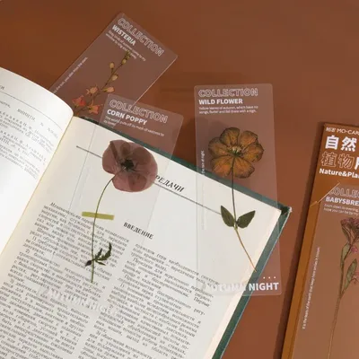 Miscellaneous+Books