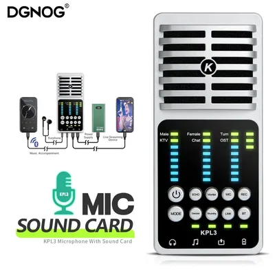 USB Audio Interface Sound Card With Condenser Microphone Live Broadcast Phone/PC Recording Guitar