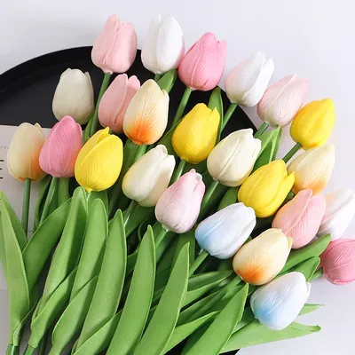 Flowers+Plants