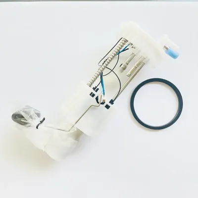 Renli 800cc 1100cc 1500cc UTV Go Kart Buggy Fuel Pump Adrenaline Buggy KN004060000