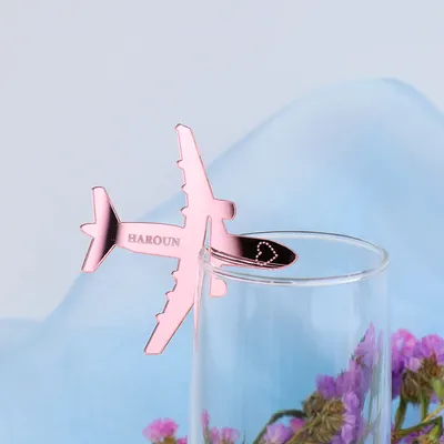 Personalized Acrylic Airplane Drink Tags Plane Glass Tags Wedding Name Place Cards Wedding Decor