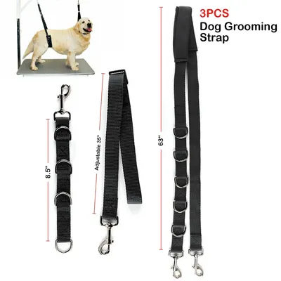 More+Pet+Supplies