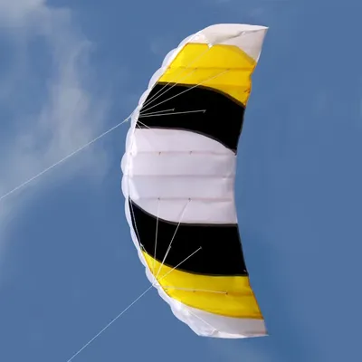 Outdoor Fun Sports Power 1.4m Dual Line Stunt Parafoil Parachute Beach Kite For Beginner