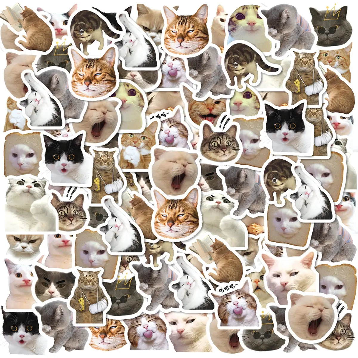 Etori Life 46 PCS Cartoon Cute Animal Society Mischievous Expression Cat Student DIY Stationery,Laptops Decoration Stickers