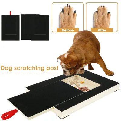 Dog Nail Scratch Board with Built-in Treat Box Wooden Puppy Nail Grinding Pad Dog Nail File Board
