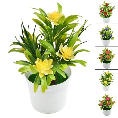 Flowers+Plants