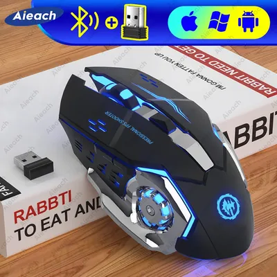 Computer+Gaming+Software