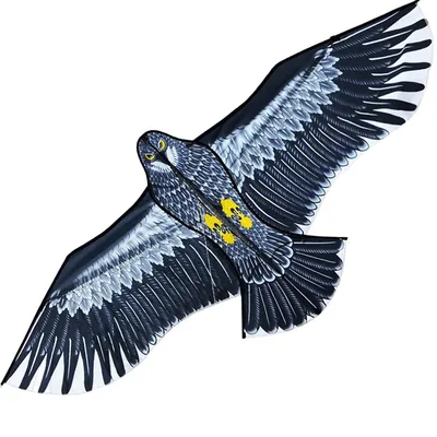 NEW Arrive Outdoor Fun Sports 59 Inch Eagle Kite With Handle And Line For Kids Or Adults Good