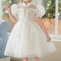 kinderkleidung Mädchen Party Kleid Pailletten Kurzarm Hochzeit Besondere Anlässe Pailletten Quaste Zip bezaubernd Süß Baumwolle Polyester Knielang abendkleider Sommer Frühling Herbst 4-12 Jahre Wei