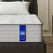 Full Medium Firm 12" Hybrid Mattress - Alwyn Home Queen Size Pocket Spring In A Box Adult Motion Isolation, Fiberglass | 12 D in Wayfair