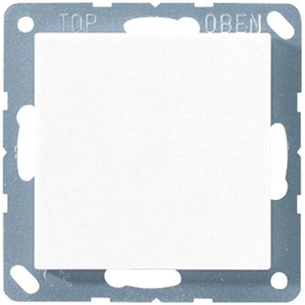 Jung Blind-Abdeckung champ A 594-0 CH A594-0CH Image