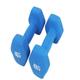 Dumbbells Home fitness exercise dumbbells for men and women, a pair of colorful small dumbbells and hexagonal dumbbells Dumbbell Set (Color : Blue, Size : 1kg)