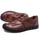 CCAFRET Men Shoes Shoes Mens Leather Flats Lace-Up Shoes Simple Stylish Male Shoes Large Sizes Leisure Shoes for Men (Color : Brown, Size : 6)