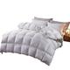 Fashion Soft Goose Down Comforter Duvet Winter Blankets Feather Bed Quilt Blanket Quilted (Color : White, Size : 150x200cm 3kg)