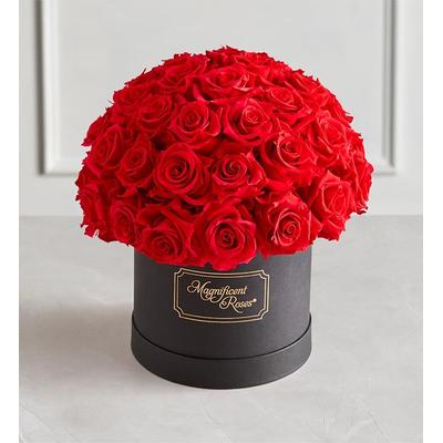 1-800-Flowers Flower Delivery Magnificent Roses Preserved Domani Red Roses