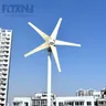FLTXNY 1000W 12V 24V 48V piccola turbina eolica per generatori eolici domestici con 3/5 lame con