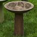 Campania International Birdbath Concrete, Copper in Gray | 23 H x 18.75 W x 18.75 D in | Wayfair B-160-PN