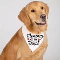 Elevate Your Pet's Look With A Stylish Dog Saliva Towel Pet Scarf Wedding Decoration