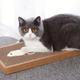 Cat Scratcher, Cat Scratcher Pad For Indoor Cats, Cat Scratching Posts For Cats To Scratch, Cat Toys