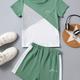 Stylish Summer Outfit For Toddler Boys: Casual T-shirt & Shorts Set