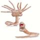 Movie Alien Plush Toys 20inch Facehugger 46inch Chestburster Soft Stuffed Dolls Cosplay Birthday Christmas Gifts For Children Kids Halloween Decor Thanksgiving、christmas Gift