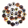 30pcs (15 Pair) 8/10/12/16mm Glass Eye For Diy Handmade Animal Dog Cat Dinosaur Dolls Eyes