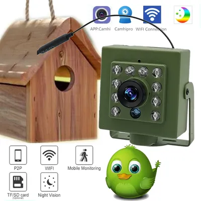 Green Wifi Bird Box Camera Audio 1920P 1080P IR CUT Night Vision RTSP FTP Mini IP IPC Pet Nest Bird