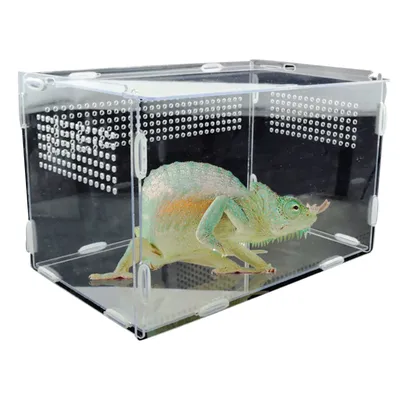 Transparent Reptile Breeding Box Acrylic Feeding Box 360 Degree High Transparent Magnetic Pet