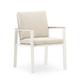 Lot 2 chaises alu blanc avec accoudoirs imitation bois avec coussins
