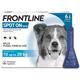 Frontline Spot On Medium Dog 10-20kg 6 Pipettes