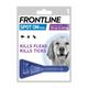 Frontline Spot On Large Dog 20-40kg 1 Pipette