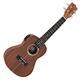 Tanglewood TWT 8 E Tiare Concert Size Electro Ukulele