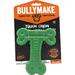 Green Durable Mint Flavored Nylon T-Bone Tough Chew Toy for Aggressive Dogs, Small