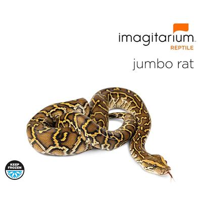 Frozen XL (Jumbo) Rat, Count of 5, 5 CT