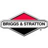Briggs&stratton - Reg. Primavera Briggs e Stratton-799267